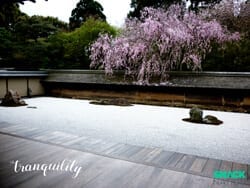 tranquility-poster-small