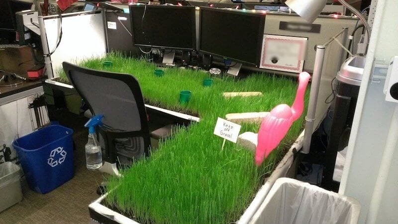 21 Hilarious Office Pranks in 2022 That Hopefully Won t 21 Hilarious Office Pranks in 2022 That Hopefully Won t