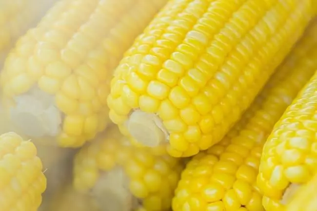 corn-on-the-cob