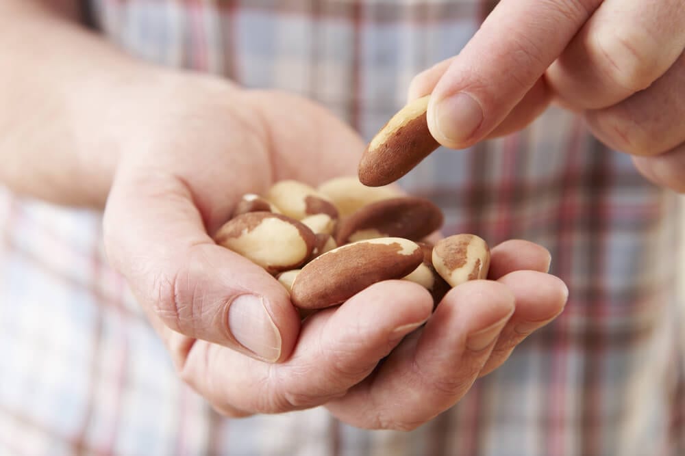 Healthy Crunchy Snacks with Brazil Nuts