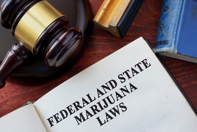 cbd-federal-state-laws